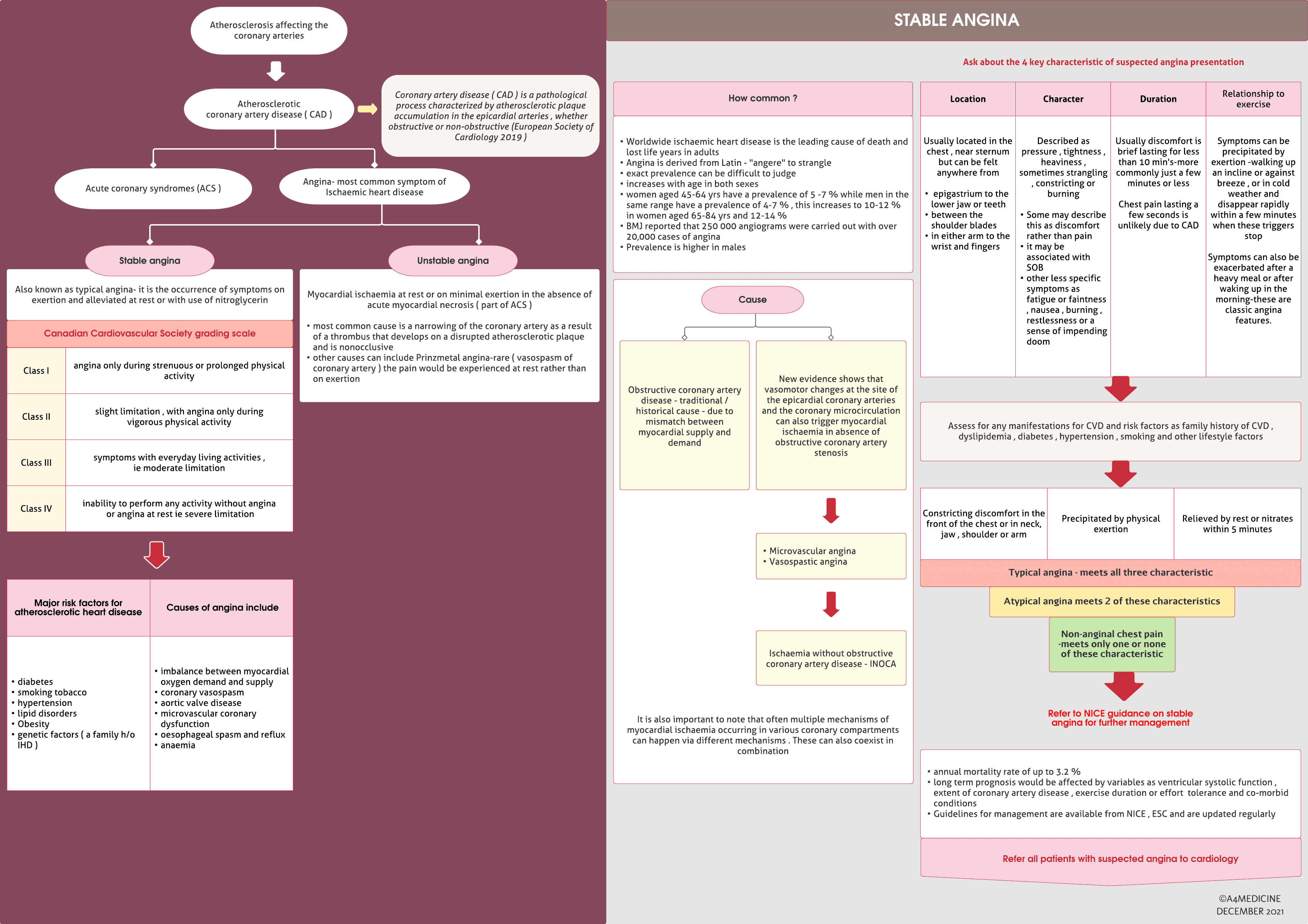 Stable angina -basics