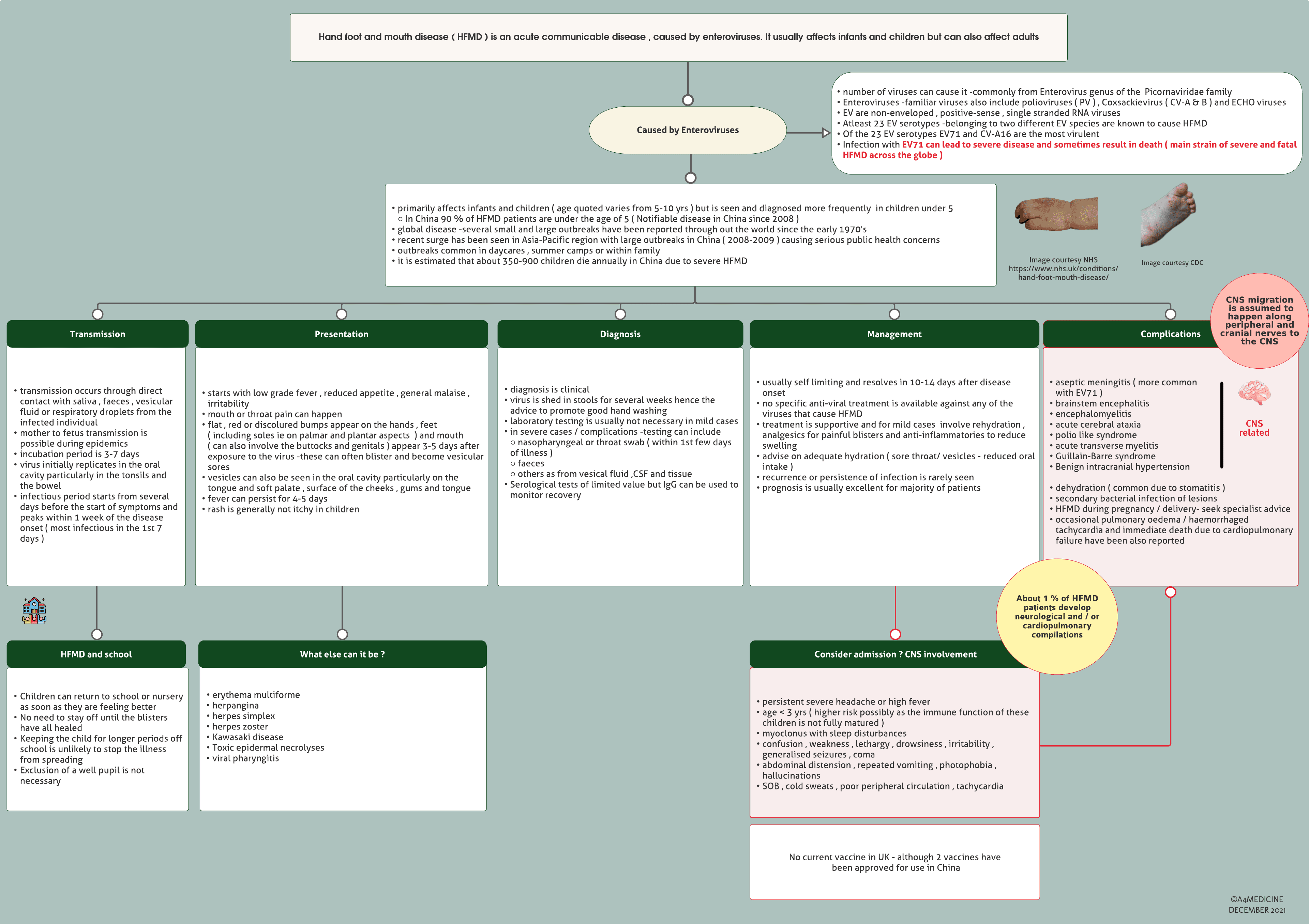 Hand foot and mouth disease