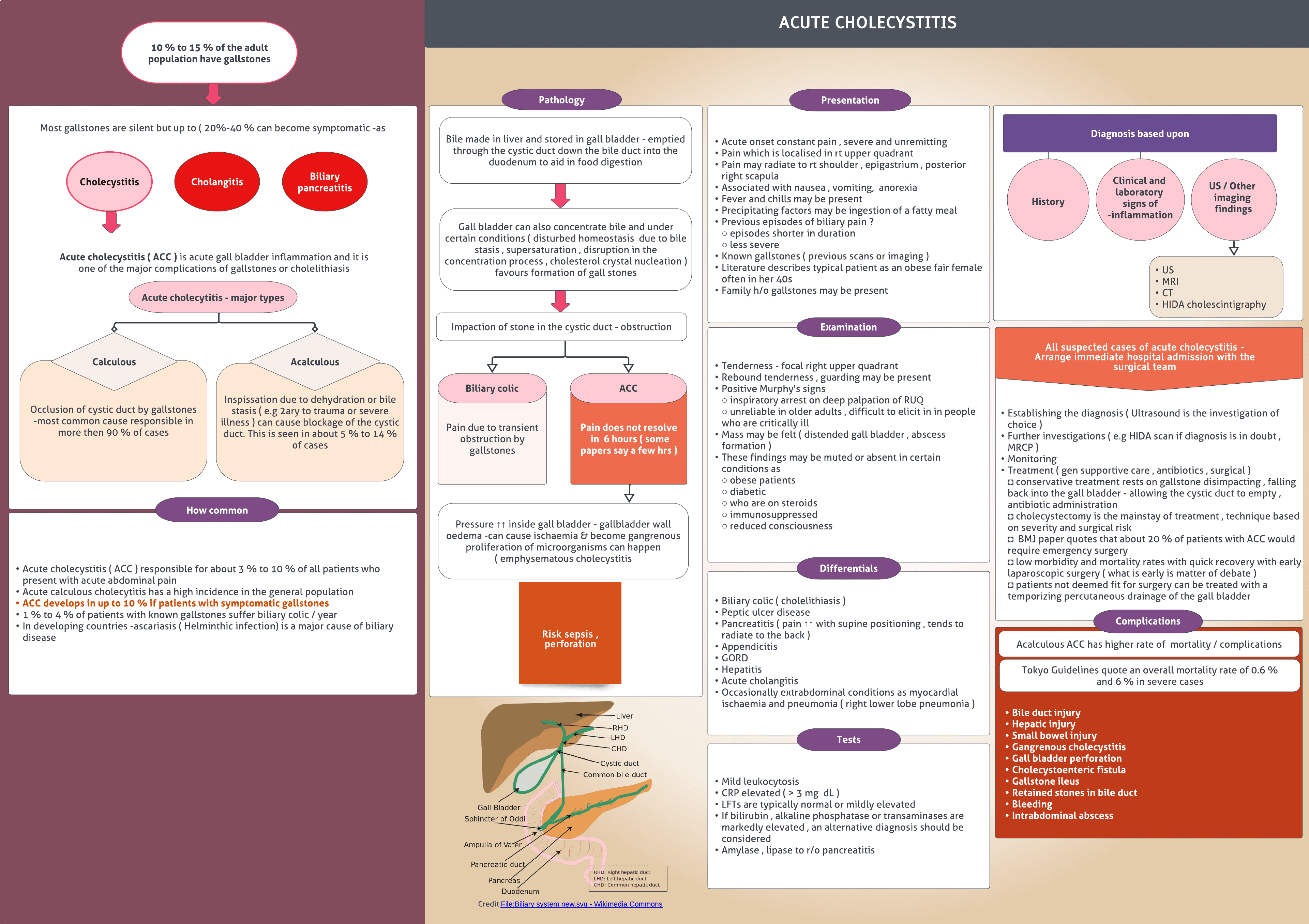 Acute Cholecystitis