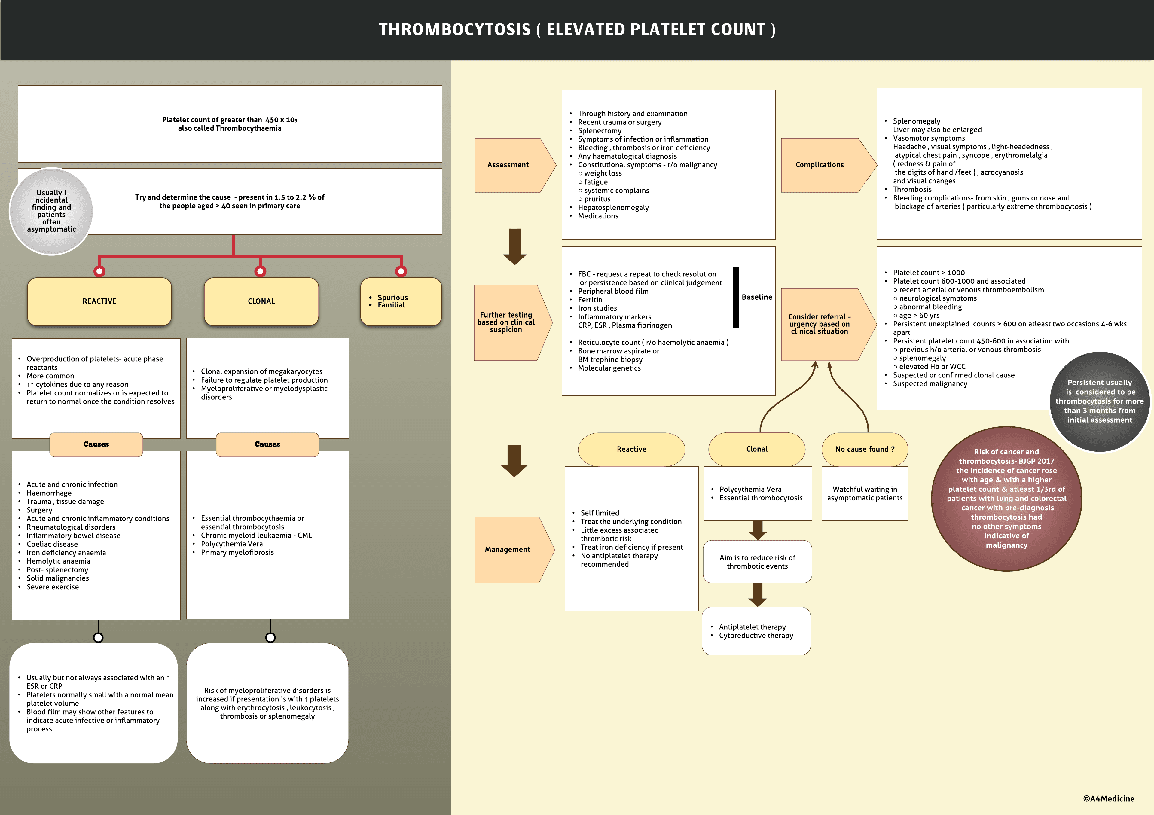 Thrombocytosis-elevated platelet count